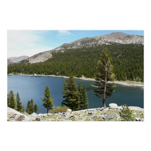 Tenaya Lake in het Nationaal Park Yosemite Perfect Poster (Voorkant)