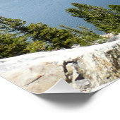 Tenaya Lake in het Nationaal Park Yosemite Perfect Poster (Hoek)