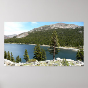 Tenaya Lake in het Nationaal Park Yosemite Poster