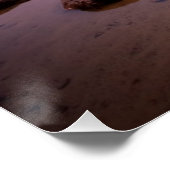 Tenaya Lake Perfect Poster (Hoek)