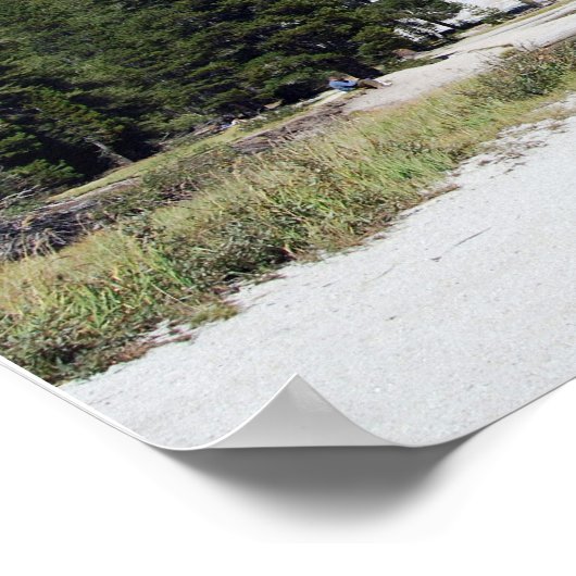 Tenaya Lake poster (Hoek)