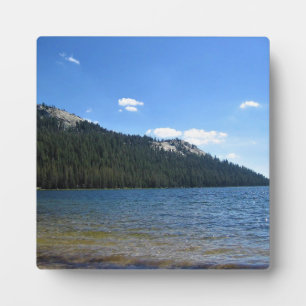 Tenaya Lake, Yosemite National Park, CA Fotoplaat