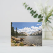 Tenaya Lake, Yosemite NP Briefkaart (Staand voorkant)
