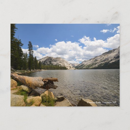 Tenaya Lake, Yosemite NP Briefkaart (Voorkant)