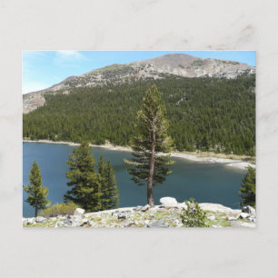 Tenayameer in Yosemite National Park Briefkaart