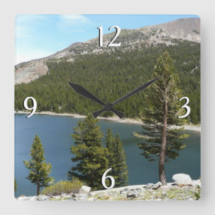 Tenayameer in Yosemite National Park Vierkante Klok