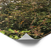 Tenby Haven Panorama Poster (Hoek)