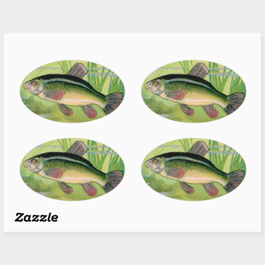  Tench Fish Print Ovale Sticker (Vel)