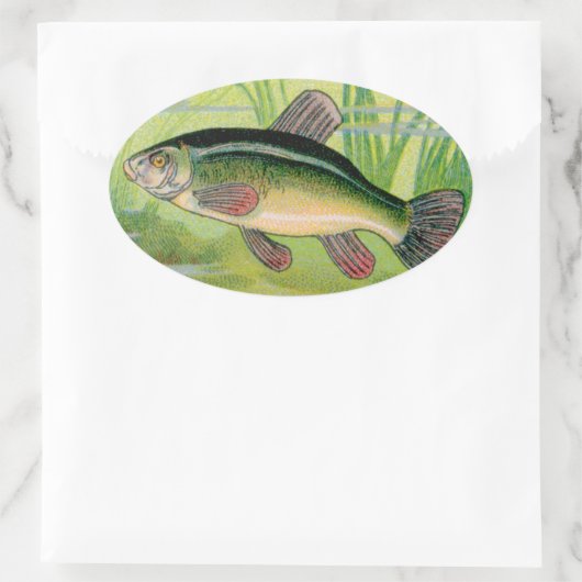  Tench Fish Print Ovale Sticker (Tas)