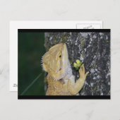 Tenchi-Briefkaart Briefkaart (Voorkant / Achterkant)