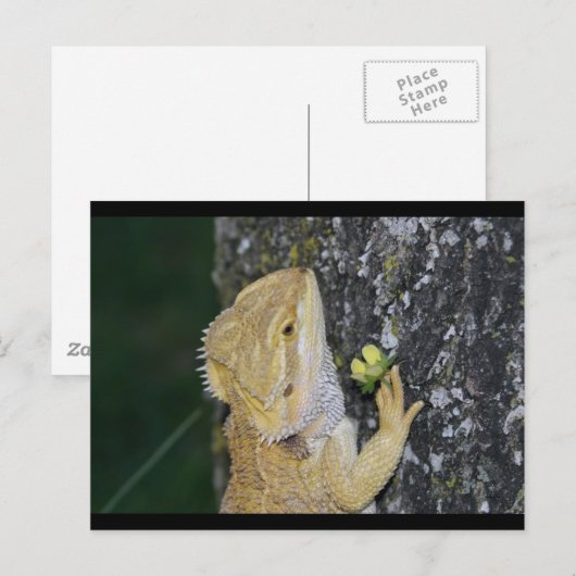 Tenchi-Briefkaart Briefkaart (Voorkant / Achterkant)