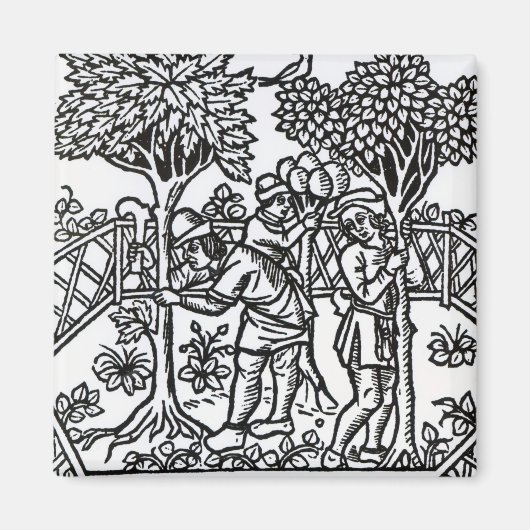 Tendende wijnstokken magneet (Voorkant)