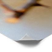 Tender Japanse Abrikozenbloesems Poster (Hoek)