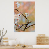 Tender Japanse Abrikozenbloesems Poster (Keuken)