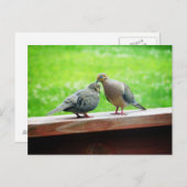 Tender Lovebird Kiss Briefkaart (Voorkant / Achterkant)