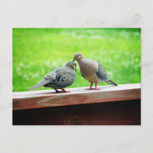 Tender Lovebird Kiss Briefkaart (Voorkant)
