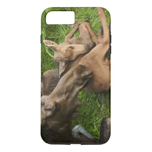 Tender Moeder Moose Case-Mate iPhone Case (Achterkant)