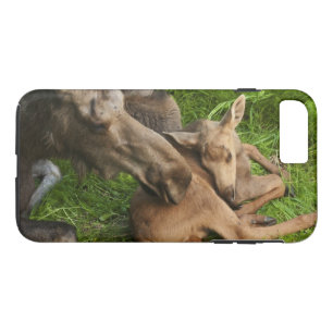 Tender Moeder Moose Case-Mate iPhone Case