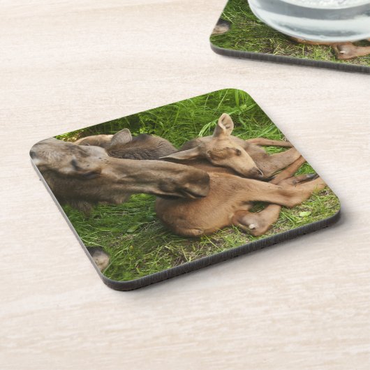 Tender Moeder Moose Drankjes Onderzetter (Linkerzijde)