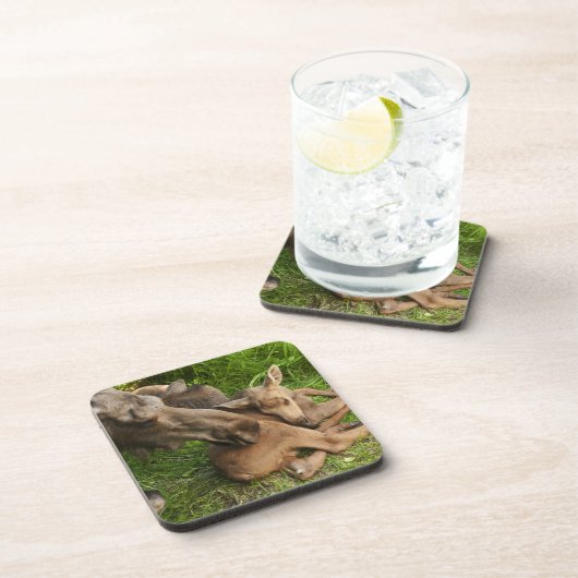 Tender Moeder Moose Drankjes Onderzetter (Rechterzijde)