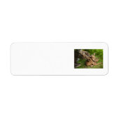 Tender Moeder Moose Etiket (Voorkant)
