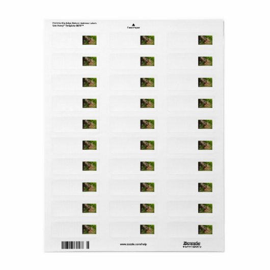 Tender Moeder Moose Etiket (Full Sheet)