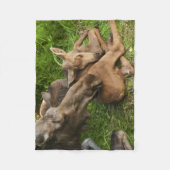 Tender Moeder Moose Fleece Deken (Voorkant)