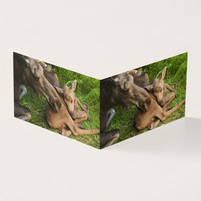 Tender Moeder Moose Kaart (Buitenkant)