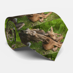 Tender Moeder Moose Stropdas