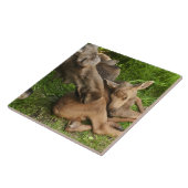 Tender Moeder Moose Tegeltje (Zijkant)