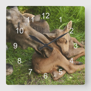 Tender Moeder Moose Vierkante Klok