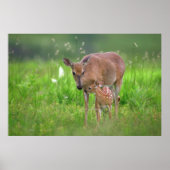 Tender moment hert poster (Voorkant)