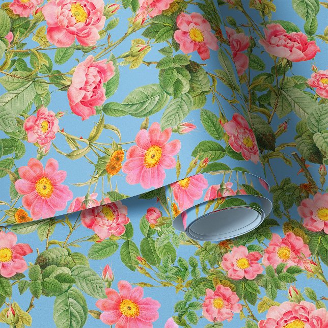 Tender tuin rozen op hemelsblauwe achtergrond behang (Creator heeft geüpload)