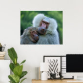 tenderbaviaanband poster (Thuiskantoor)