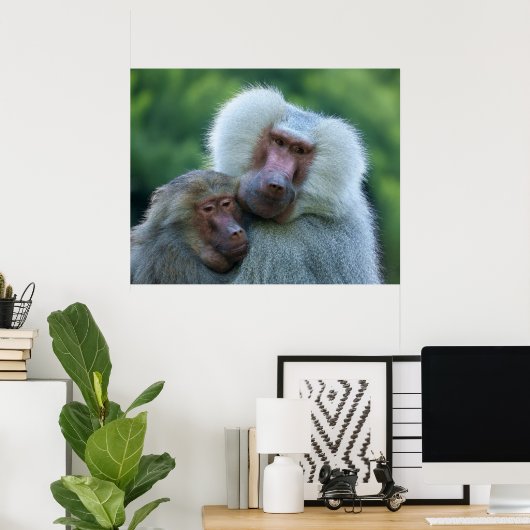 tenderbaviaanband poster (Thuiskantoor)