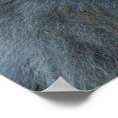 tenderbaviaanband poster (Hoek)