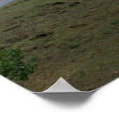 Tenderfoot Hill met Amerikaanse vlag Poster (Hoek)