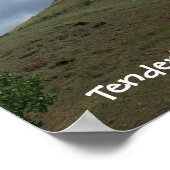 Tenderfoot Hill Poster (Hoek)