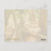 Tendrel Village Briefkaart (Achterkant)