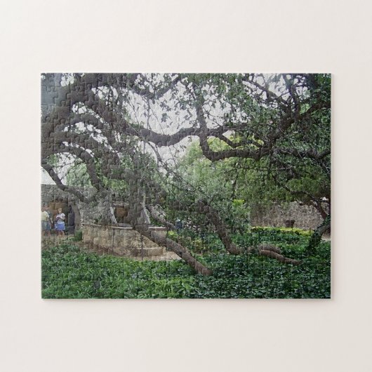 Tendril Tree in de Alamo, San Antonio, Texas Legpuzzel (Horizontaal)