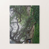 Tendril Tree in de Alamo, San Antonio, Texas Legpuzzel (Verticaal)