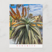 Tenerife Aloe Vera plant en briefkaart van bloemen (Voorkant)