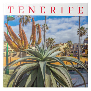 Tenerife Aloe Vera plant keramische tegel Tegeltje