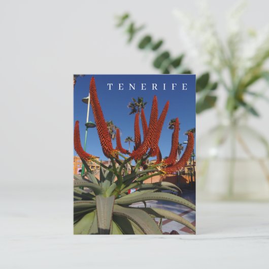 Tenerife Aloe Vera uitzicht briefkaart (Staand voorkant)