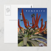 Tenerife Aloe Vera uitzicht briefkaart (Voorkant / Achterkant)