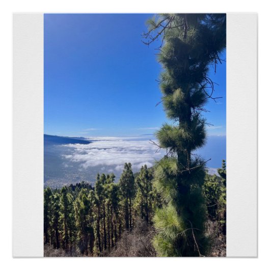 Tenerife bliss. perfect poster (Voorkant)