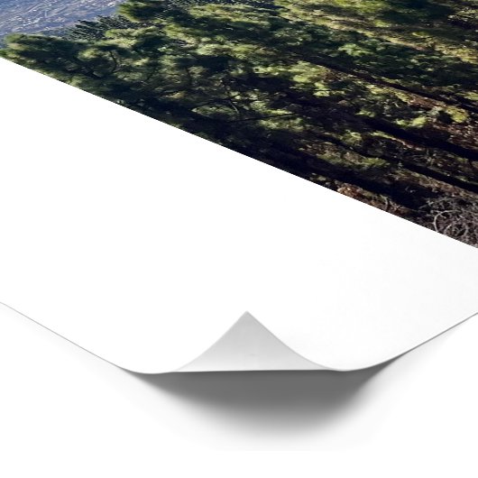 Tenerife bliss. perfect poster (Hoek)