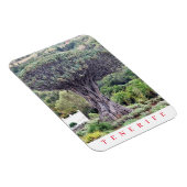 Tenerife Dragon Tree uitzicht koelkastmagneet Magneet (Rechterzijde)