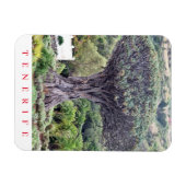 Tenerife Dragon Tree uitzicht koelkastmagneet Magneet (Horizontaal)