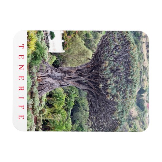 Tenerife Dragon Tree uitzicht koelkastmagneet Magneet (Horizontaal)